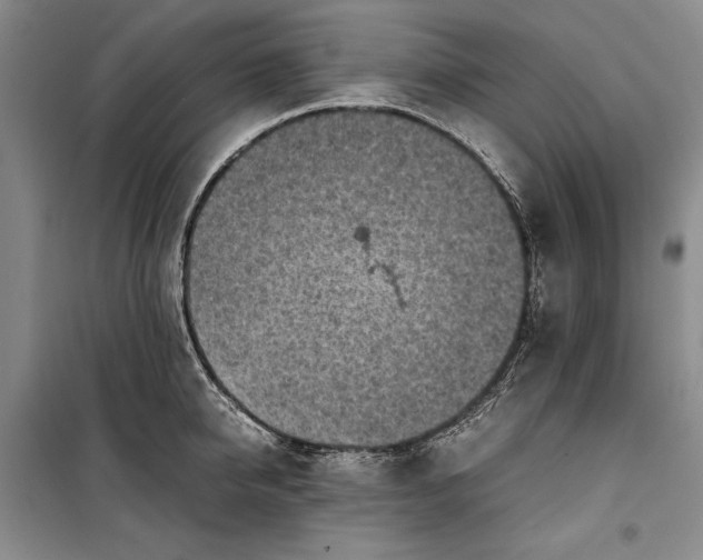 X0000100190950200806131204