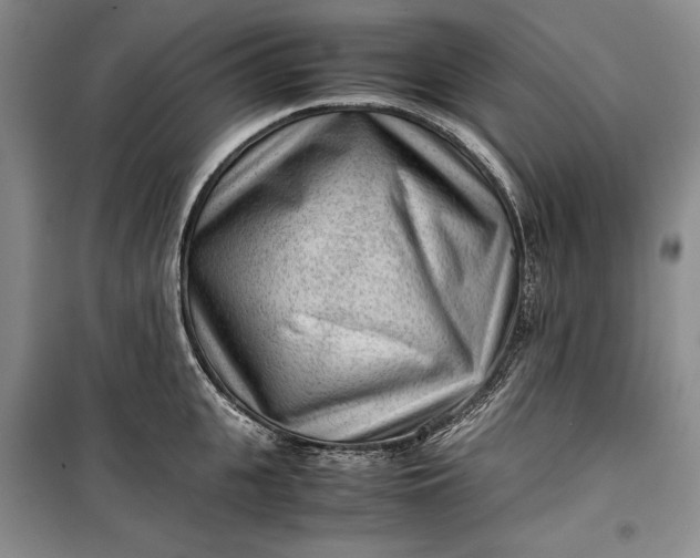 X0000100190951200806131204