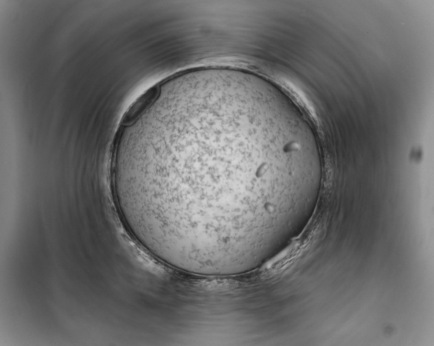 X0000100190952200806131204