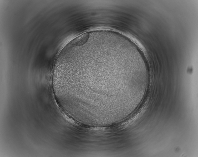 X0000100190953200806131204