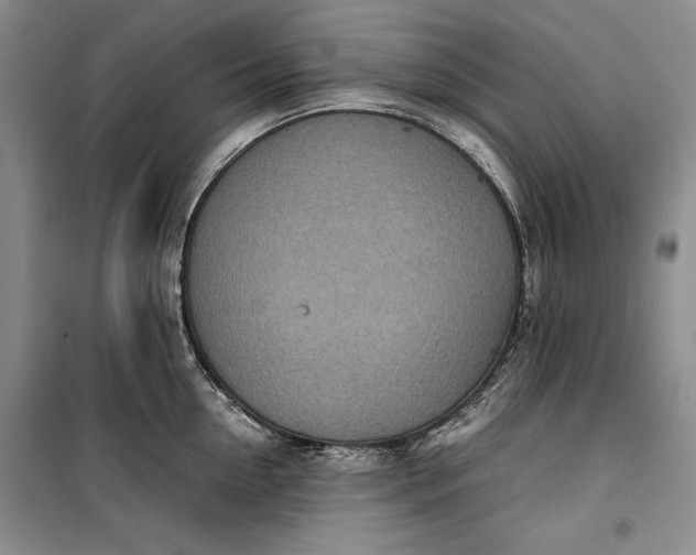 X0000100190954200806131205