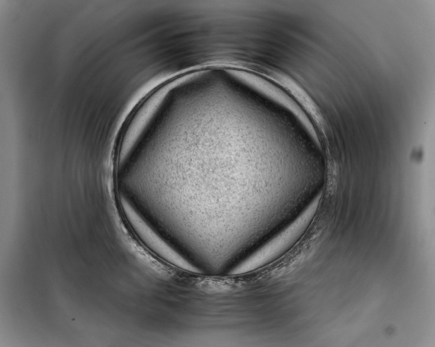 X0000100190955200806131205