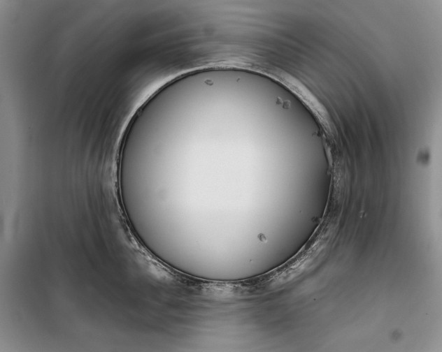 X0000100190956200806131205