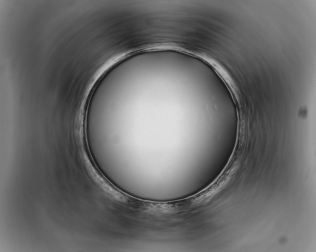 X0000100190957200806131205