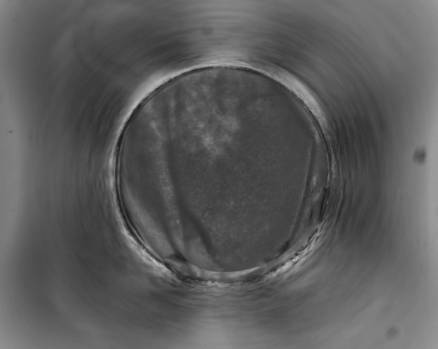 X0000100190958200806131205