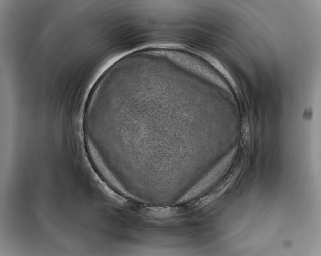 X0000100190959200806131205