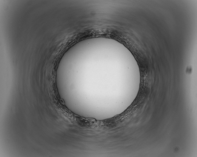 X0000100190961200806131204