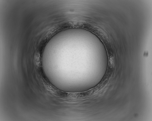 X0000100190963200806131204