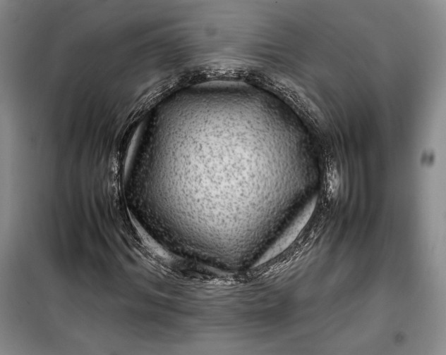 X0000100190964200806131204