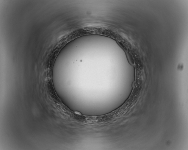 X0000100190965200806131204