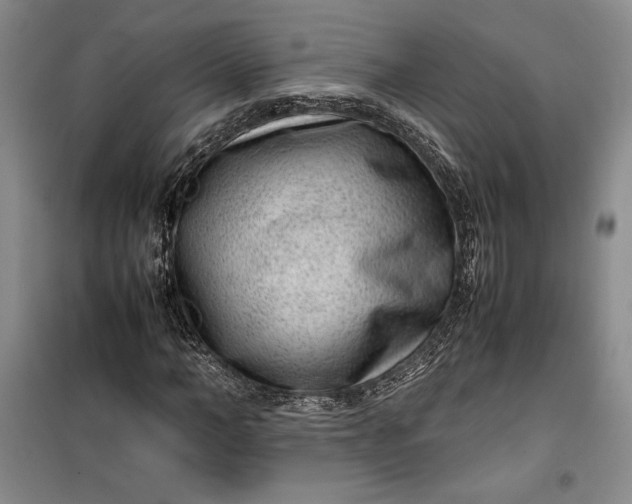 X0000100190966200806131204