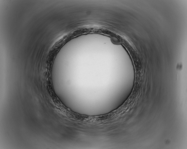 X0000100190967200806131204