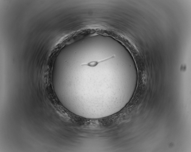 X0000100190968200806131204