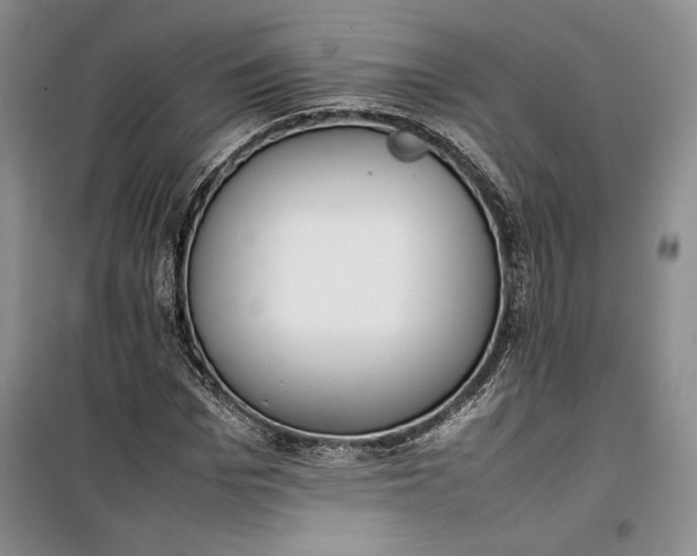 X0000100190969200806131204