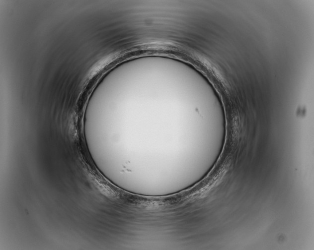 X0000100190970200806131204