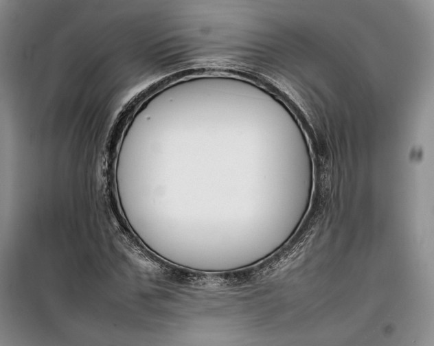 X0000100190971200806131204