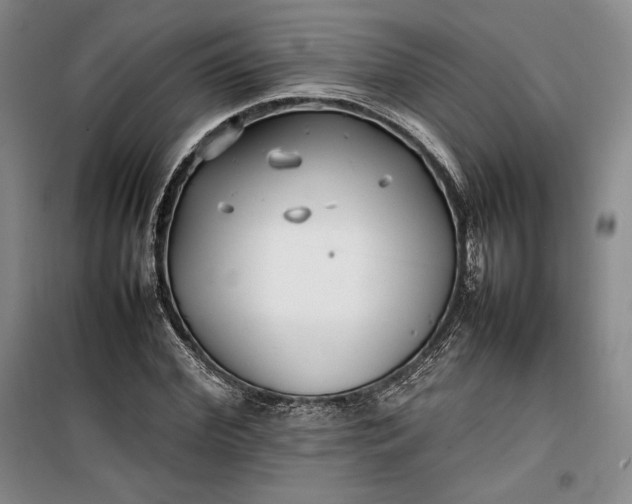 X0000100190972200806131204