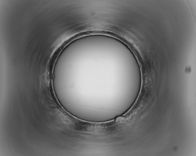 X0000100190973200806131204