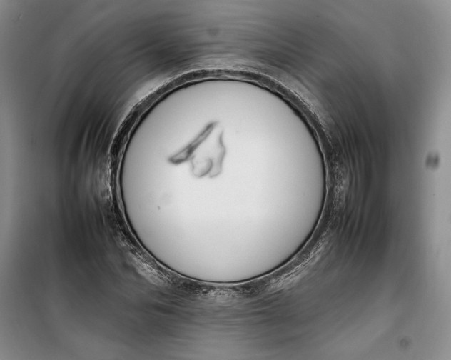 X0000100190974200806131204