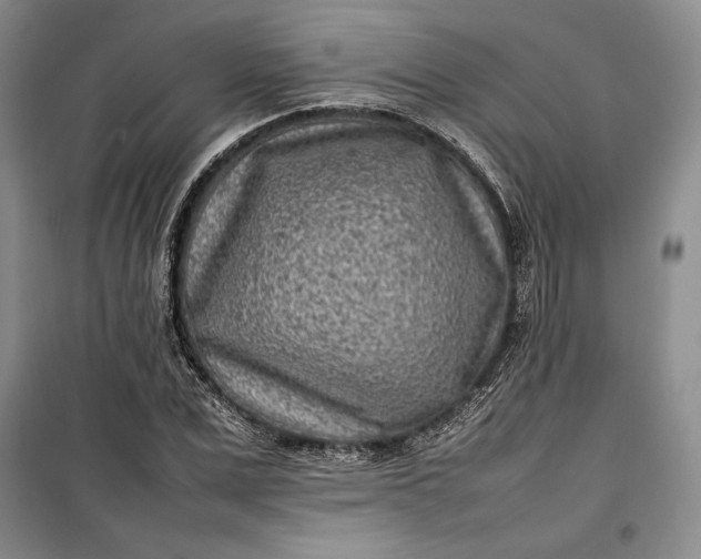 X0000100190975200806131204