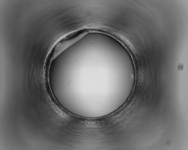 X0000100190976200806131204