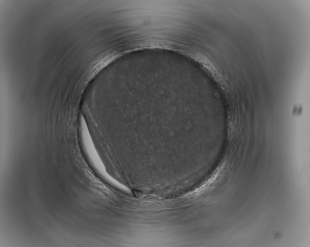 X0000100190977200806131204