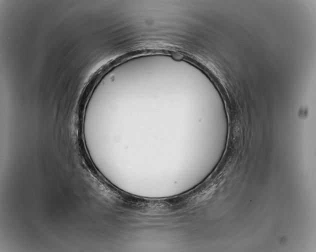 X0000100190979200806131204