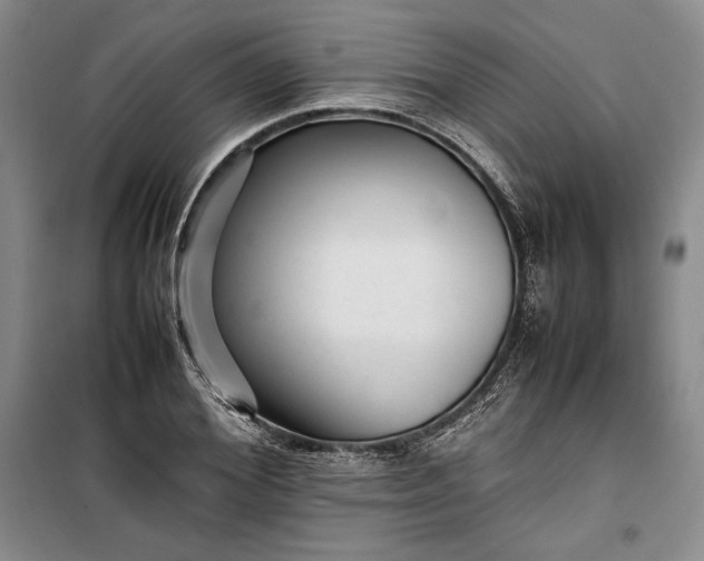 X0000100190980200806131204