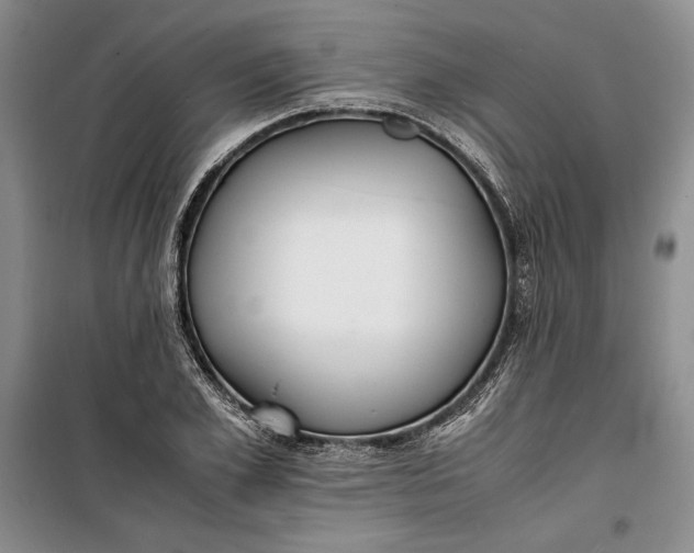 X0000100190981200806131204