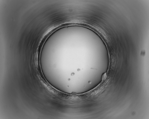 X0000100190982200806131204