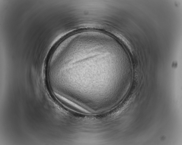 X0000100190983200806131204