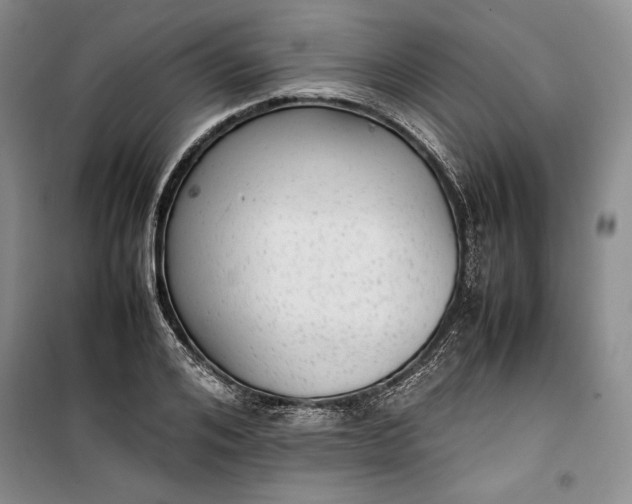 X0000100190984200806131204