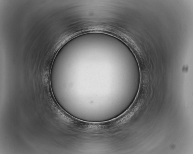 X0000100190985200806131204