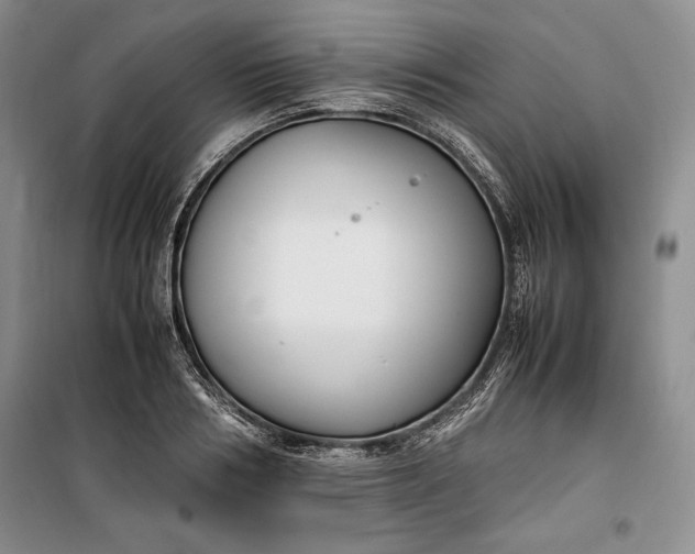 X0000100190986200806131204