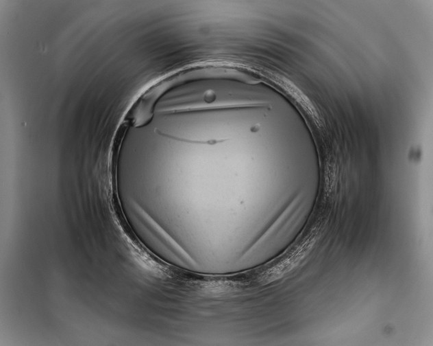 X0000100190988200806131204