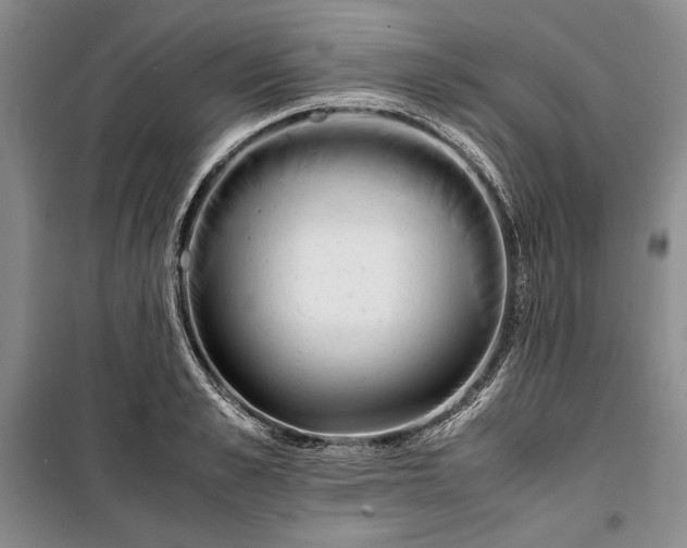 X0000100190989200806131204