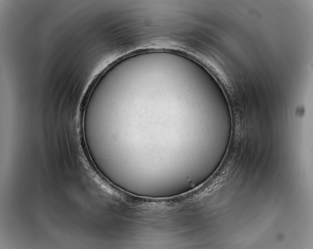 X0000100190990200806131204