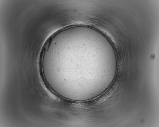 X0000100190991200806131204