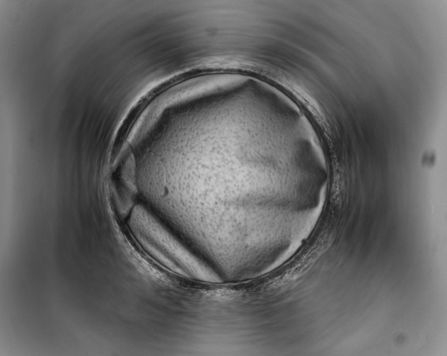 X0000100190992200806131204