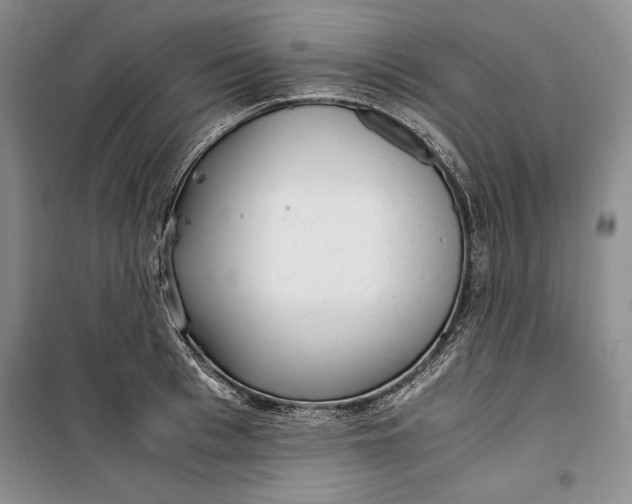 X0000100190993200806131203