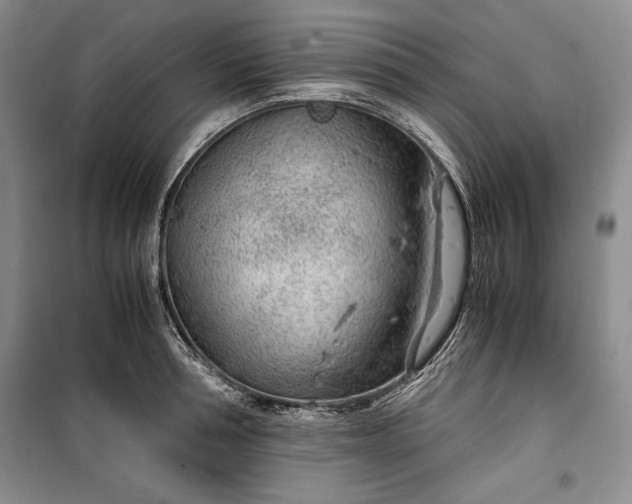 X0000100190994200806131203