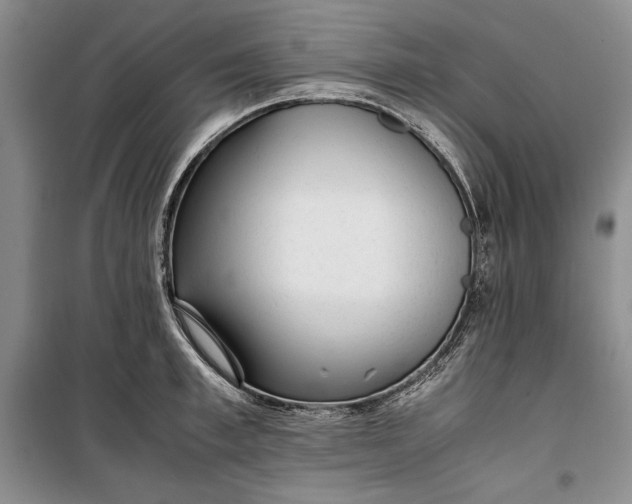 X0000100190997200806131203