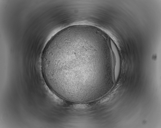 X0000100190998200806131203