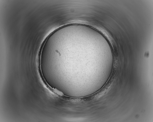 X0000100190999200806131203