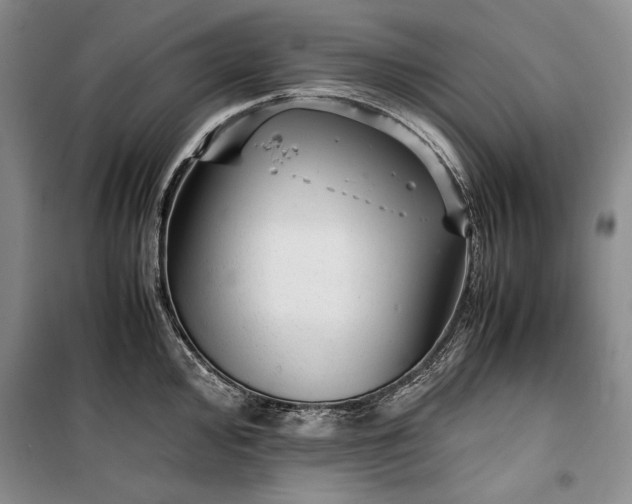 X0000100191000200806131203