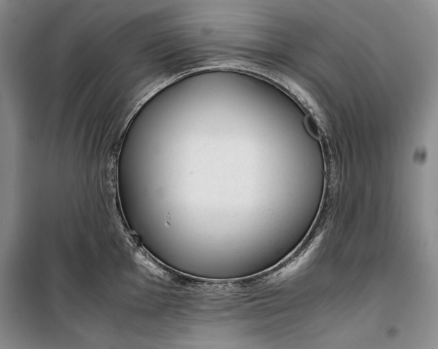 X0000100191001200806131203