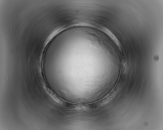 X0000100191002200806131203