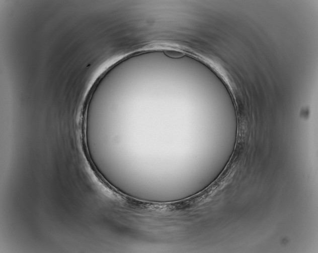 X0000100191003200806131203