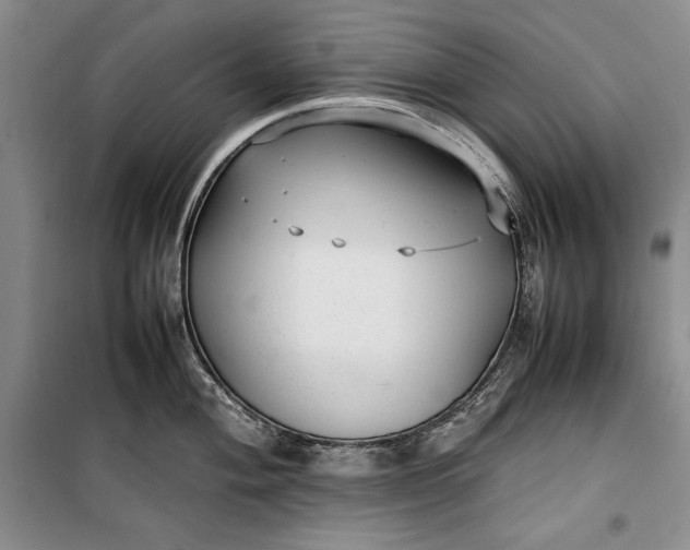 X0000100191004200806131203