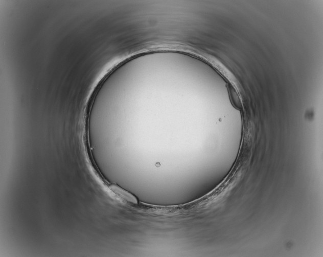 X0000100191005200806131203